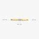 BLUSH 1600BDI BICOLOR GOUDEN RING MET NATUURLIJKE DIAMANT BLUSH 1600BDI BICOLOR GOUDEN RING MET NATUURLIJKE DIAMANT