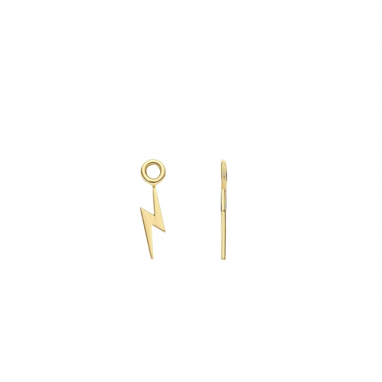 BLUSH 9060YGO GOUDEN OORRING AANHANGERS BLIKSEMSCHICHT