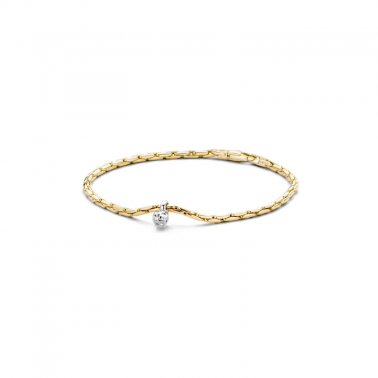 BLUSH 2156BZI GOUDEN ARMBAND MET ZIRKONIA HANGERTJE