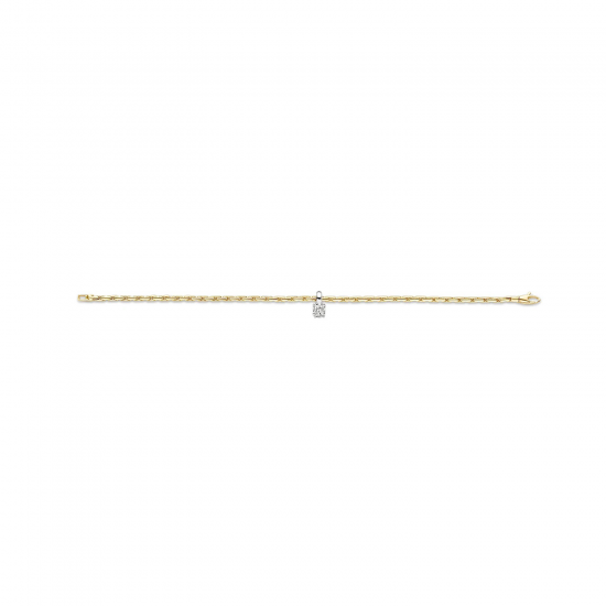 BLUSH 2156BZI GOUDEN ARMBAND MET ZIRKONIA HANGERTJE