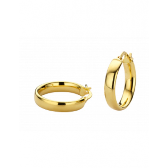 FJORY 40-OOV15 14 KARAAT GOUDEN OORRINGEN MET ZILVEREN KERN FJORY 40-OOV15 14 KARAAT GOUDEN OORRINGEN MET ZILVEREN KERN