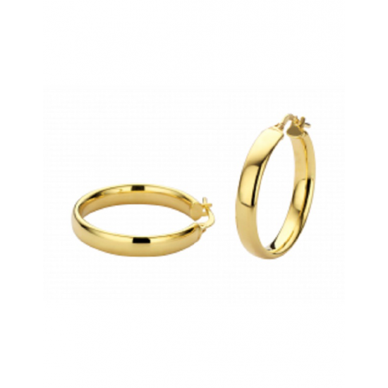 FJORY 40-OOV20 14 KARAAT GOUDEN OORRINGEN MET ZILVEREN KERN FJORY 40-OOV20 14 KARAAT GOUDEN OORRINGEN MET ZILVEREN KERN