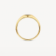 BLUSH 1219YON GEELGOUDEN ZEGELRING MET ONYX BLUSH 1219YON GEELGOUDEN ZEGELRING MET ONYX