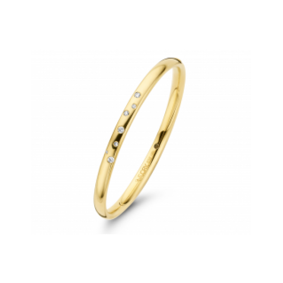 FJORY 40-ASTER-0.34 14 KARAAT GOUDEN BANGLE MET ZILVEREN KERN MET DIAMANT STERRENHEMEL
