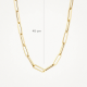 BLUSH 3130YGO GEELGOUDEN COLLIER SCHAKELS