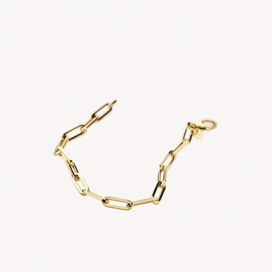 BLUSH 2190YGO GEELGOUDEN ARMBAND CLOSED FOREVER