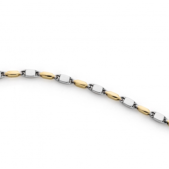 MONZARIO 1182-C BIC 14K. GOUDEN COLLIER  BICOLOR FANTASIE SCHAKEL