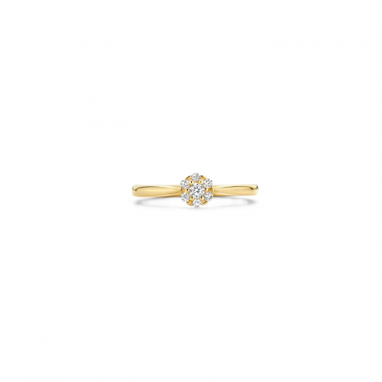 BLUSH 1248YZI GEELGOUDEN RING MET ZIRKONIA