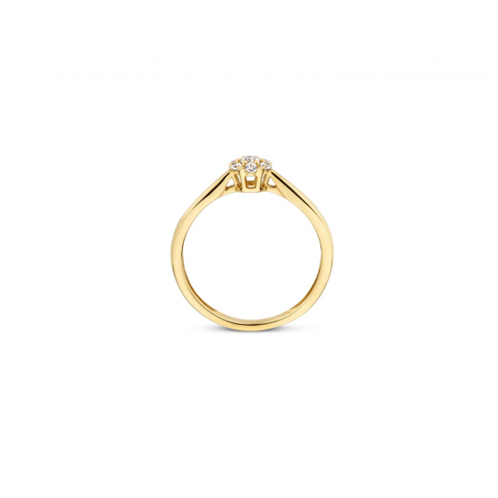 BLUSH 1248YZI GEELGOUDEN RING MET ZIRKONIA