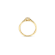 BLUSH 1248YZI GEELGOUDEN RING MET ZIRKONIA