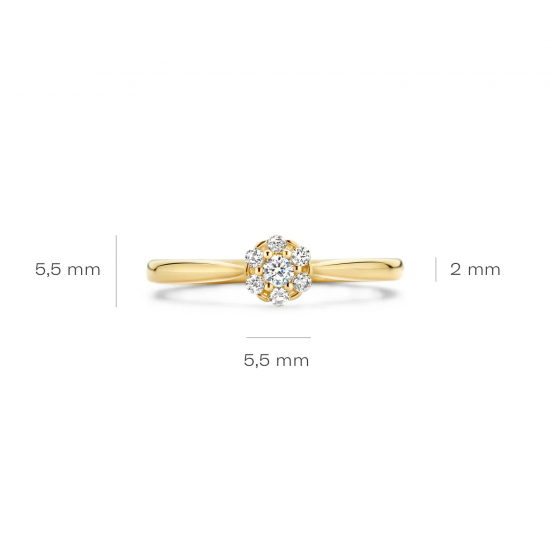 BLUSH 1248YZI GEELGOUDEN RING MET ZIRKONIA