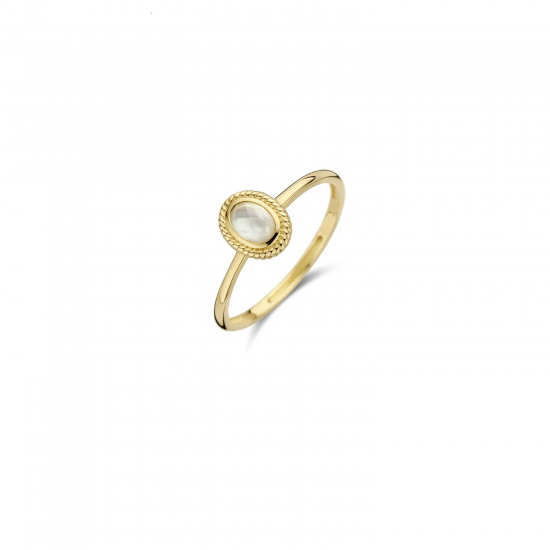 BLUSH 1239YMQ GEELGOUDEN RING MET PARELMOER EN QUARTZ