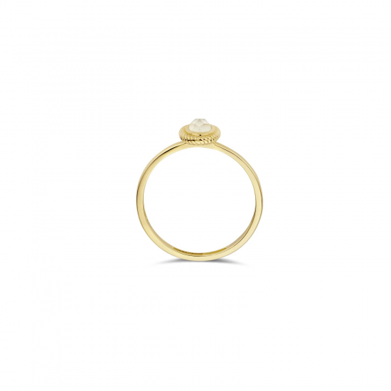 BLUSH 1239YMQ GEELGOUDEN RING MET PARELMOER EN QUARTZ