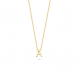 BLUSH 3155YGO_A GEELGOUDEN COLLIER MET LETTER A