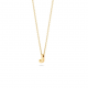 BLUSH 155Y3GO_J GEELGOUDEN COLLIER MET LETTER J