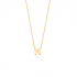 BLUSH 155Y3GO_N GEELGOUDEN COLLIER MET LETTER N