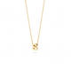 BLUSH 155Y3GO_S GEELGOUDEN COLLIER MET LETTER S