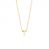 BLUSH 155Y3GO_T GEELGOUDEN COLLIER MET LETTER T