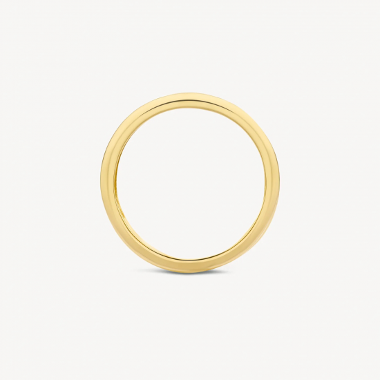 BLUSH 1607BDI GOUDEN RING MET DIAMANT