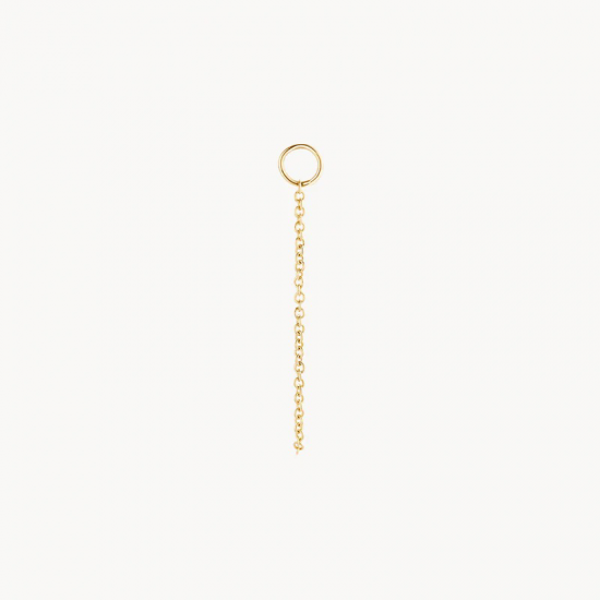 BLUSH 9085YGO GOUDEN OORRING AANHANGER