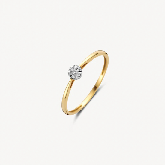 BLUSH 1675BDI 14 KARAAT BICOLOR  GOUDEN RING MET DIAMANT