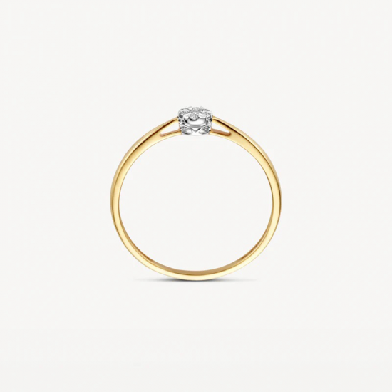 BLUSH 1675BDI 14 KARAAT BICOLOR  GOUDEN RING MET DIAMANT