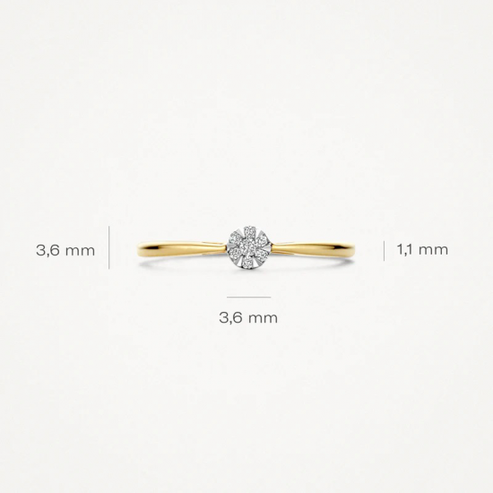 BLUSH 1675BDI 14 KARAAT BICOLOR  GOUDEN RING MET DIAMANT