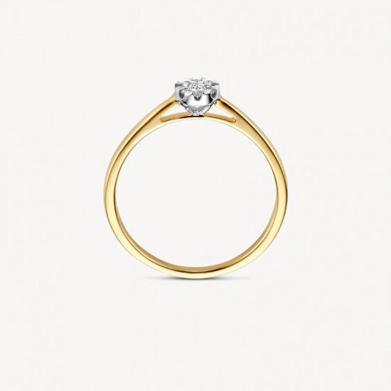 BLUSH 1676BDI 14 KARAAT BICOLOR  GOUDEN RING MET DIAMANT