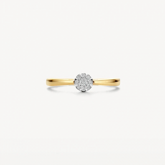 BLUSH 1676BDI 14 KARAAT BICOLOR  GOUDEN RING MET DIAMANT