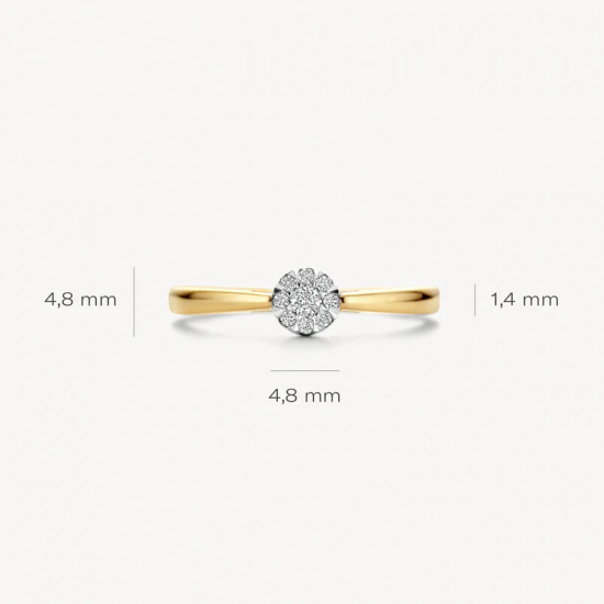 BLUSH 1676BDI 14 KARAAT BICOLOR  GOUDEN RING MET DIAMANT