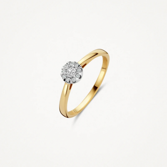 BLUSH 1677BDI 14 KARAAT BICOLOR  GOUDEN RING MET DIAMANT