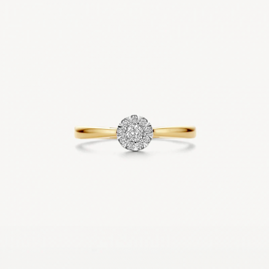 BLUSH 1677BDI 14 KARAAT BICOLOR  GOUDEN RING MET DIAMANT