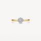 BLUSH 1677BDI 14 KARAAT BICOLOR  GOUDEN RING MET DIAMANT