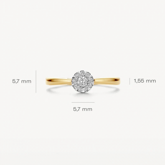 BLUSH 1677BDI 14 KARAAT BICOLOR  GOUDEN RING MET DIAMANT