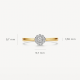 BLUSH 1677BDI 14 KARAAT BICOLOR  GOUDEN RING MET DIAMANT