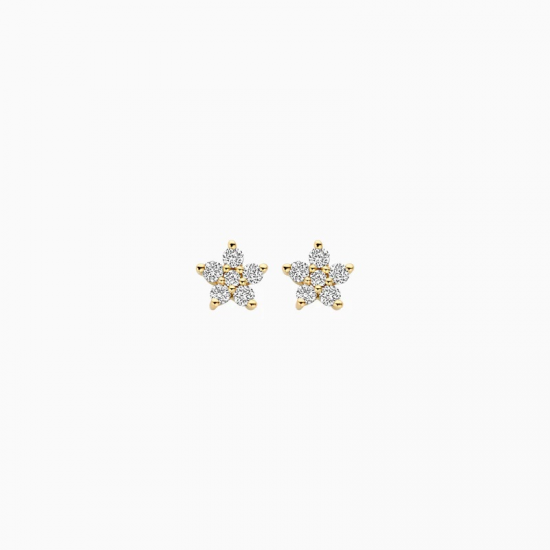 BLUSH LG7018Y GEELGOUDEN OORKNOPPEN MET LAB GROWN DIAMOND 0.25CT BLUSH LG7018Y GEELGOUDEN OORKNOPPEN MET LAB GROWN DIAMOND 0.25CT