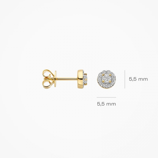 BLUSH LG7011Y GEELGOUDEN OORKNOPPEN MET LAB GROWN DIAMOND 0.29CT BLUSH LG7011Y GEELGOUDEN OORKNOPPEN MET LAB GROWN DIAMOND 0.29CT
