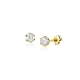 ZINZI ZGO472 14 KARAAT GOUDEN OORKNOPPEN ZIRKONIA ZINZI ZGO472 14 KARAAT GOUDEN OORKNOPPEN ZIRKONIA
