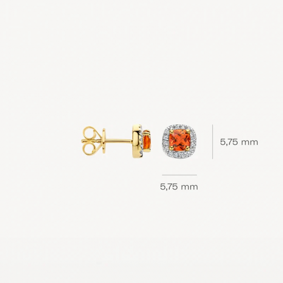 BLUSH 7629YDL GEELGOUDEN OORKNOPPEN MET CITRIEN EN DIAMANT BLUSH 7629YDL GEELGOUDEN OORKNOPPEN MET CITRIEN EN DIAMANT