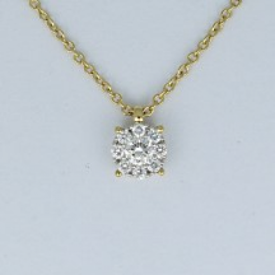 PAS DIAMONDS GPP2083 14K GEELGOUDEN COLLIER MET HANGER NATUURLIJKE DIAMANT