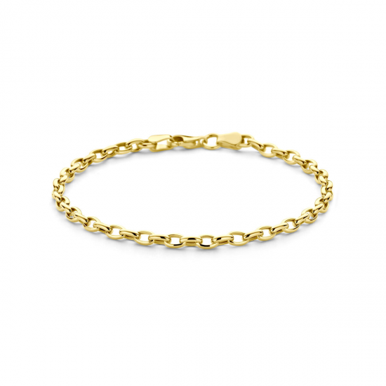 THE HOUSE OF JEWELS 4018739 GOUDEN ARMBAND ANKERSCHAKEL THE HOUSE OF JEWELS 4018739 GOUDEN ARMBAND ANKERSCHAKEL