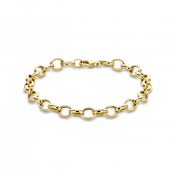 THE HOUSE OF JEWELS 4033136 GOUDEN ARMBAND JASSERON