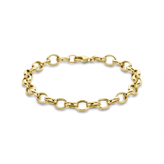 THE HOUSE OF JEWELS 4033136 GOUDEN ARMBAND JASSERON THE HOUSE OF JEWELS 4033136 GOUDEN ARMBAND JASSERON