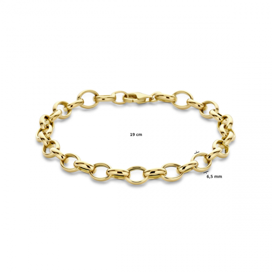 THE HOUSE OF JEWELS 4033136 GOUDEN ARMBAND JASSERON THE HOUSE OF JEWELS 4033136 GOUDEN ARMBAND JASSERON