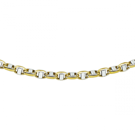 THE HOUSE OF JEWELS 4207629 BICOLOR GOUDEN COLLIER ANKER FANTASIE THE HOUSE OF JEWELS 4207629 BICOLOR GOUDEN COLLIER ANKER FANTASIE