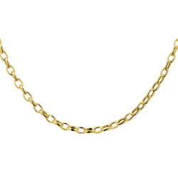 THE HOUSE OF JEWELS 4018740 GOUDEN COLLIER ANKERSCHAKEL
