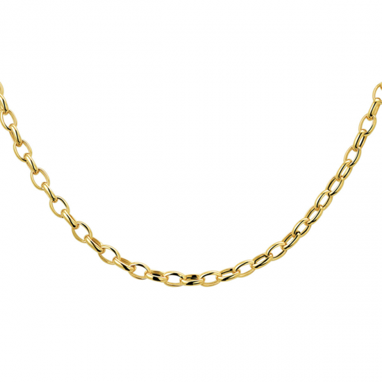 THE HOUSE OF JEWELS 4018740 GOUDEN COLLIER ANKERSCHAKEL THE HOUSE OF JEWELS 4018740 GOUDEN COLLIER ANKERSCHAKEL