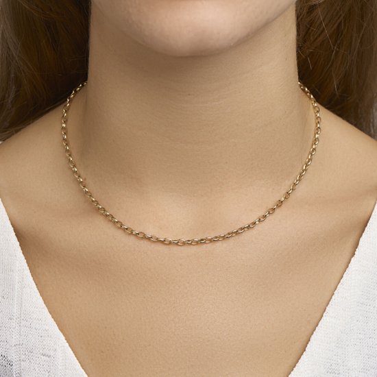 THE HOUSE OF JEWELS 4018740 GOUDEN COLLIER ANKERSCHAKEL THE HOUSE OF JEWELS 4018740 GOUDEN COLLIER ANKERSCHAKEL