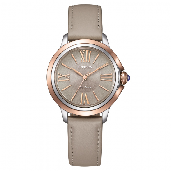 CITIZEN EM1166-01Z DAMESHORLOGE ECO-DRIVE STAAL CITIZEN EM1166-01Z DAMESHORLOGE ECO-DRIVE STAAL