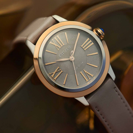 CITIZEN EM1166-01Z DAMESHORLOGE ECO-DRIVE STAAL CITIZEN EM1166-01Z DAMESHORLOGE ECO-DRIVE STAAL